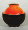 vaso_logo.JPG (19670 byte)
